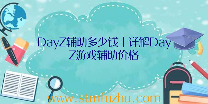 DayZ辅助多少钱|详解DayZ游戏辅助价格